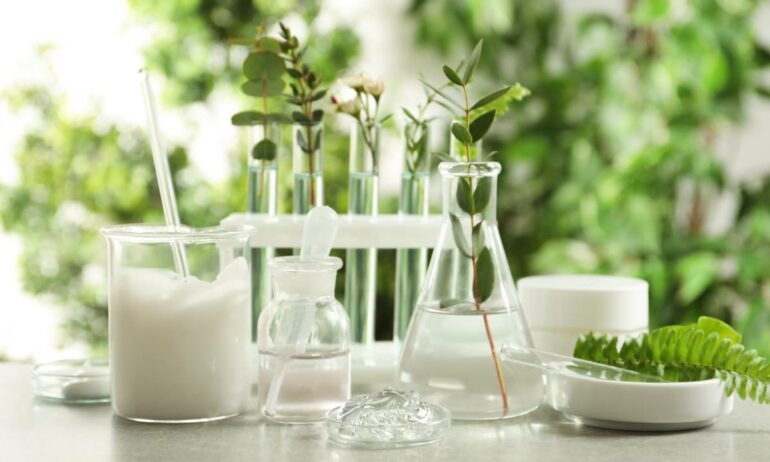 Latest Innovations in Adsorbent/Catalyst